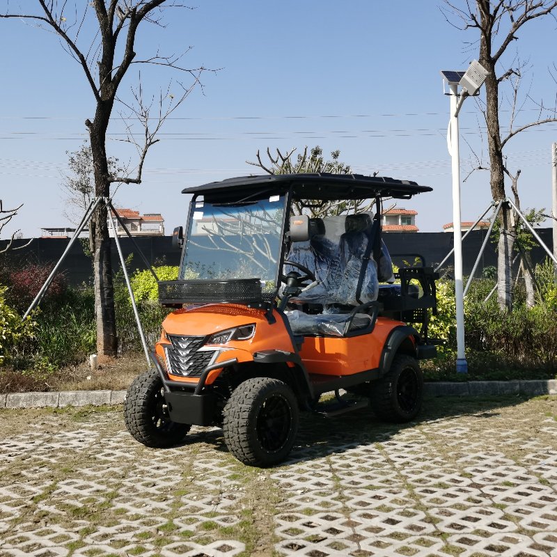 2+2 locuri vehicul de vânătoare electrică cu baterie de litiu