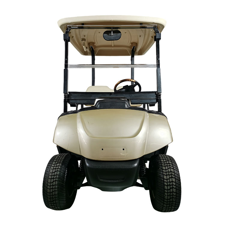 Cărucior de golf electric cu 2 locuri