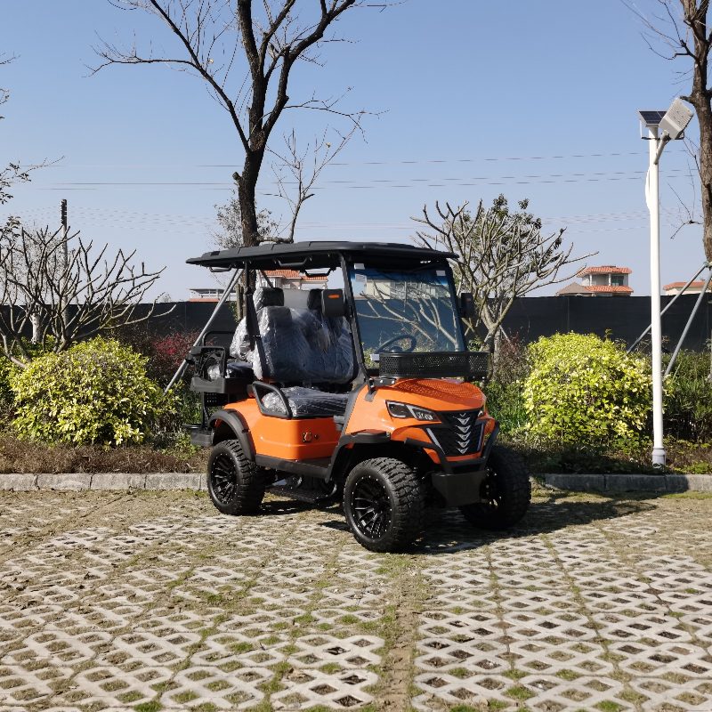 Vehicul de vânătoare electric cu 2 locuri cu baterie de litiu