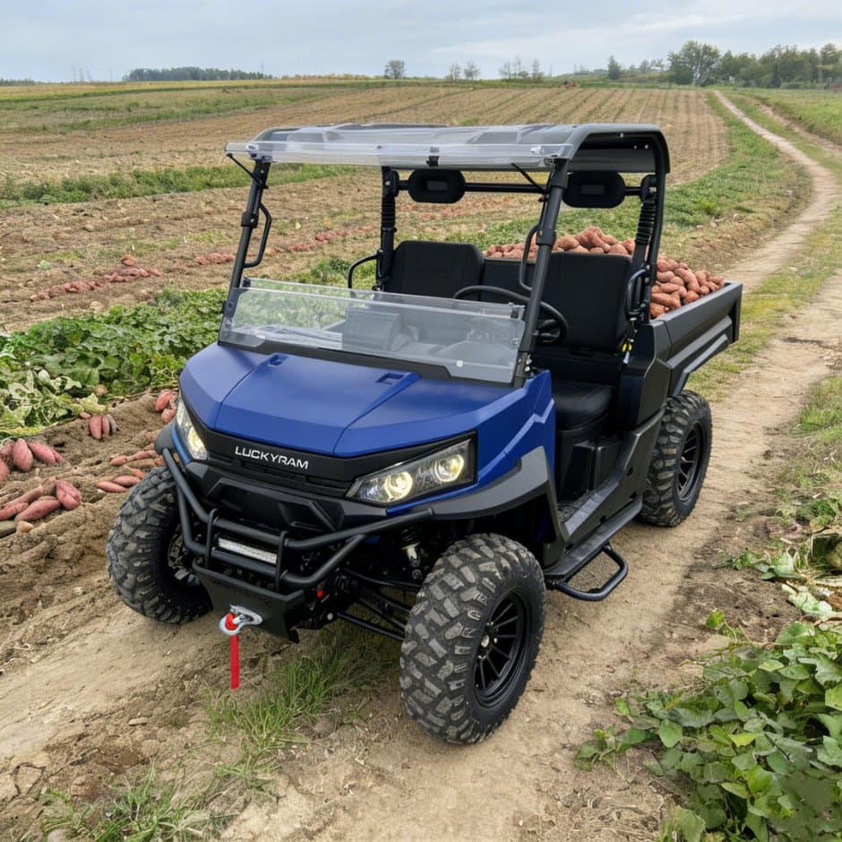 73.6V 4WD UTV 10kw AC Motor EPS Direcție 150ah Baterie