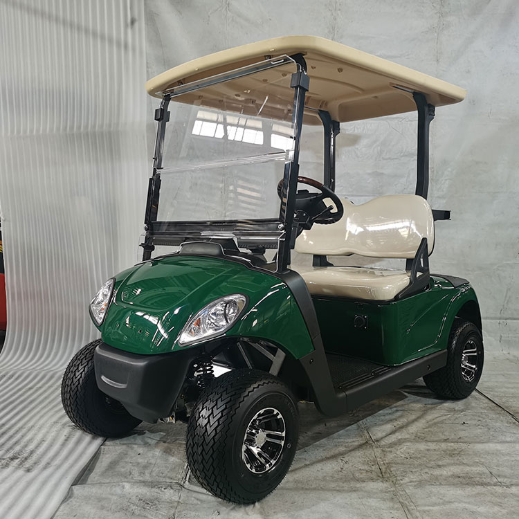 Cărucior de golf electric puternic cu 2 locuri, echipat cu baterie cu litiu